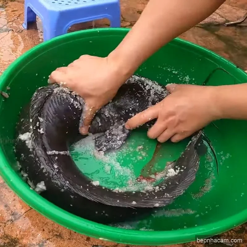 Cá Trê Lai Nướng Riềng Sả: Bí Quyết Ướp Đậm Đà, Thơm Lừng Bất Bại!