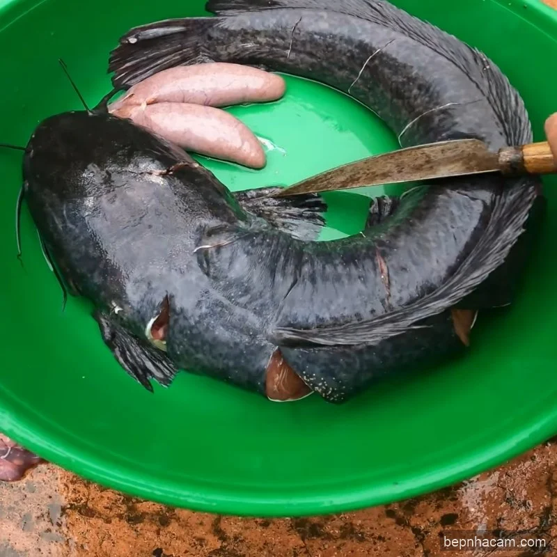 Cá Trê Lai Nướng Riềng Sả: Bí Quyết Ướp Đậm Đà, Thơm Lừng Bất Bại!